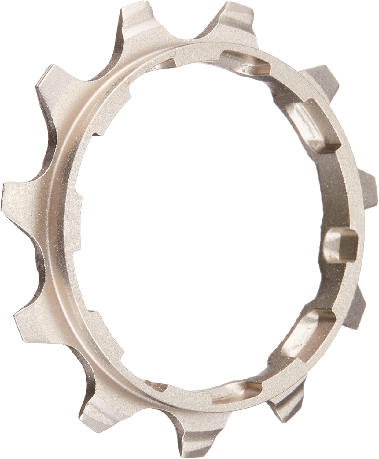 PIGNONE 10 VEL 11 DT