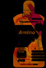 NAMED SPORT TOTAL ENERGY AMINO GEL 50 ML Arancio