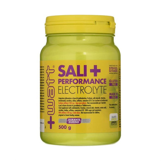 +WATT SALI+ ELECTROLYTE 500 GR