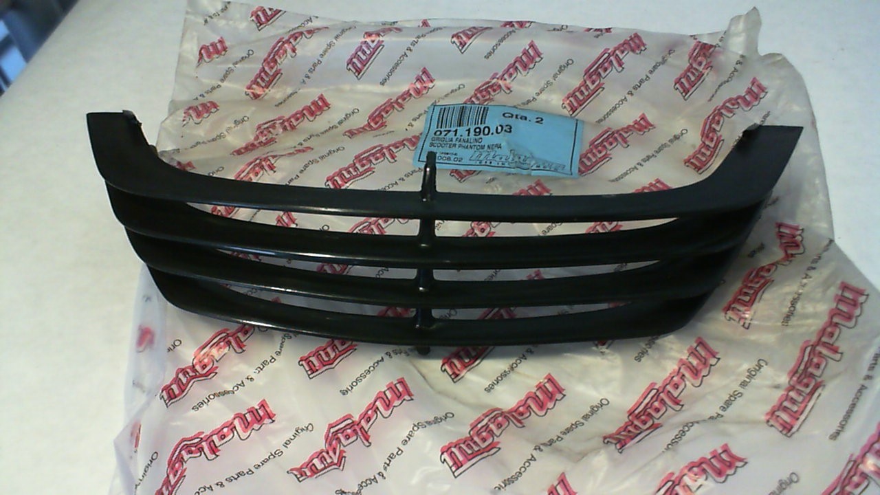 GRIGLIA FANALE POSTERIORE MALAGUTI F12 07119003