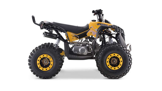 QUAD RENEGADE 125