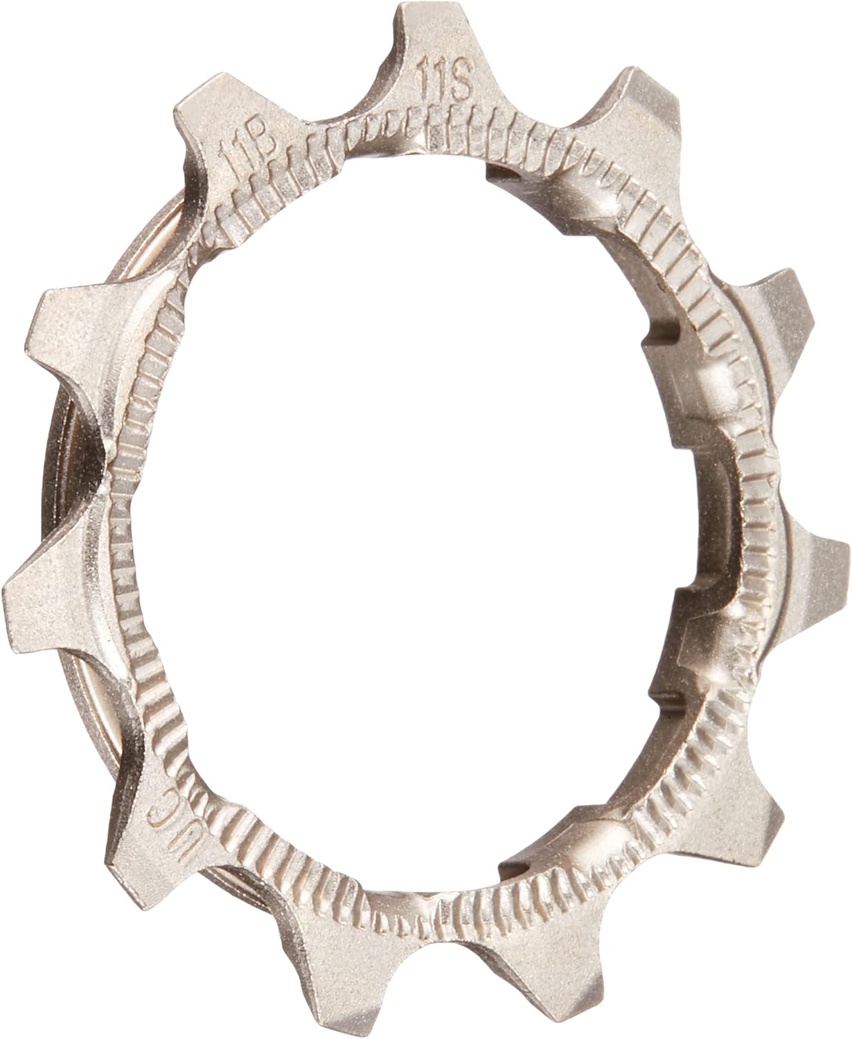 PIGNONE 10 VEL 11 DT