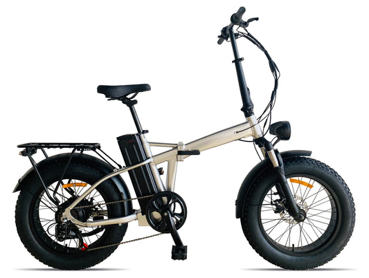 GEKKO 20 FAT E-BIKE