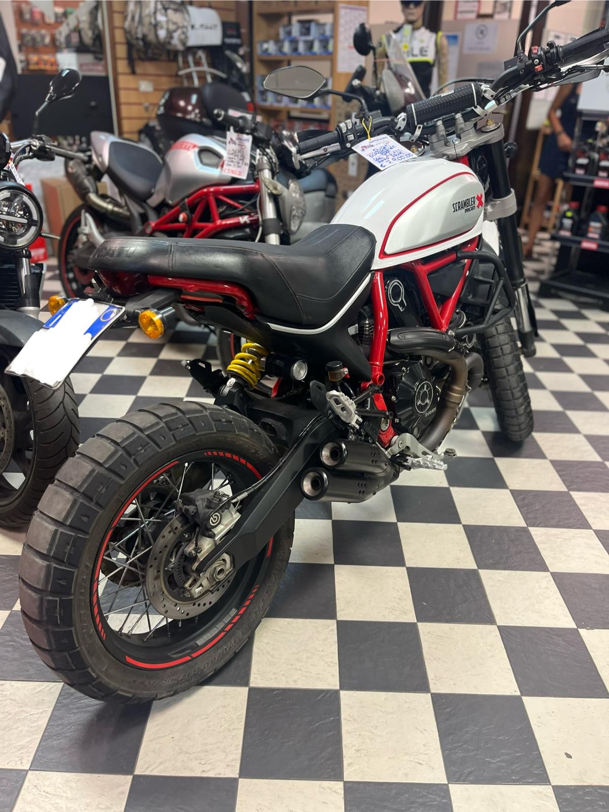 ducati scrambler desert sled 800