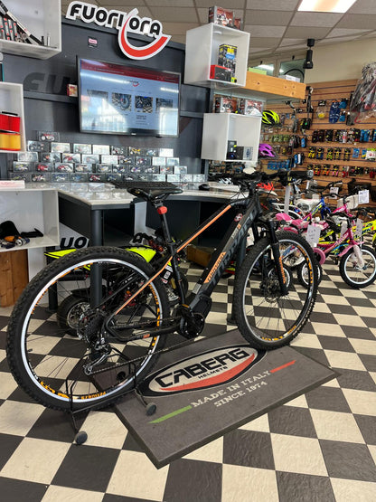 mtb e-bike 29