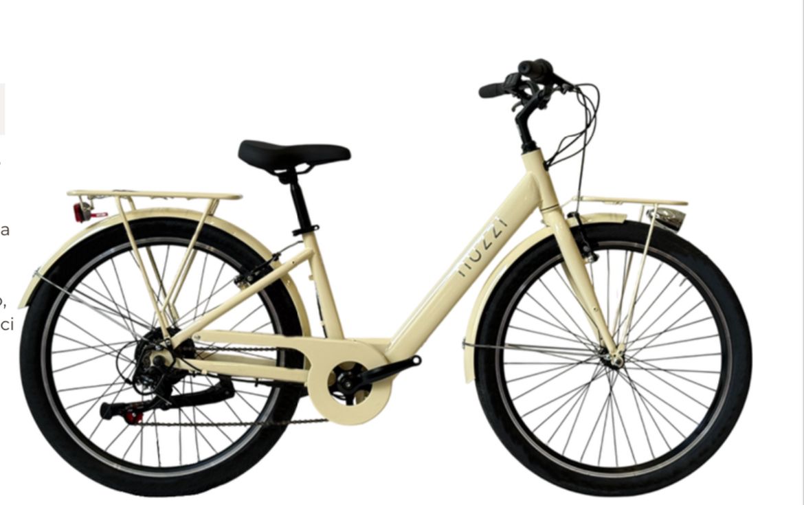 NSR VENUS E BIKE ACCIAIO 26