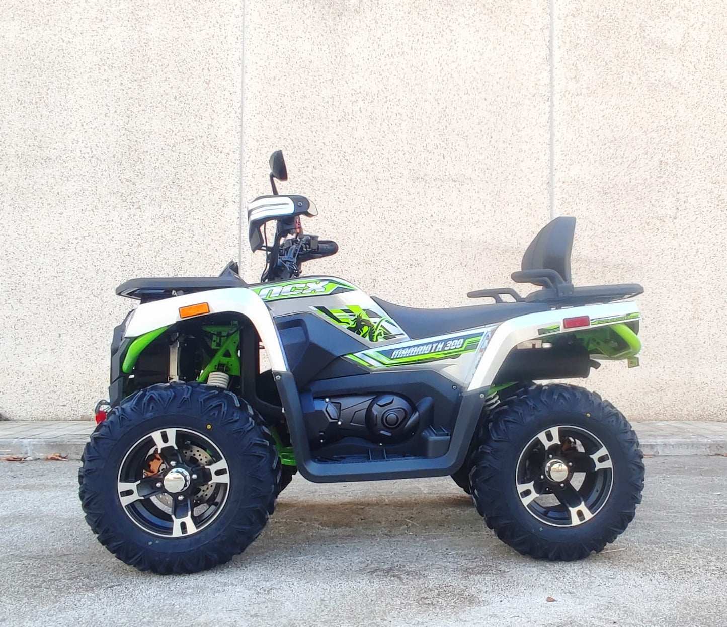 MAMMOTH 300 R12 - TARGABILE T3B