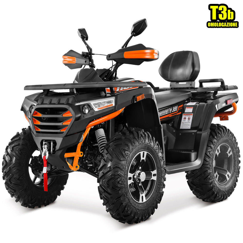 MAMMOTH 300 R12 - TARGABILE T3B