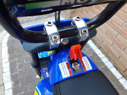 NCX SPARK 250 WATT R 6.5 ELETTRICA