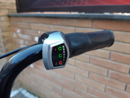 NCX SPARK 250 WATT R 6.5 ELETTRICA